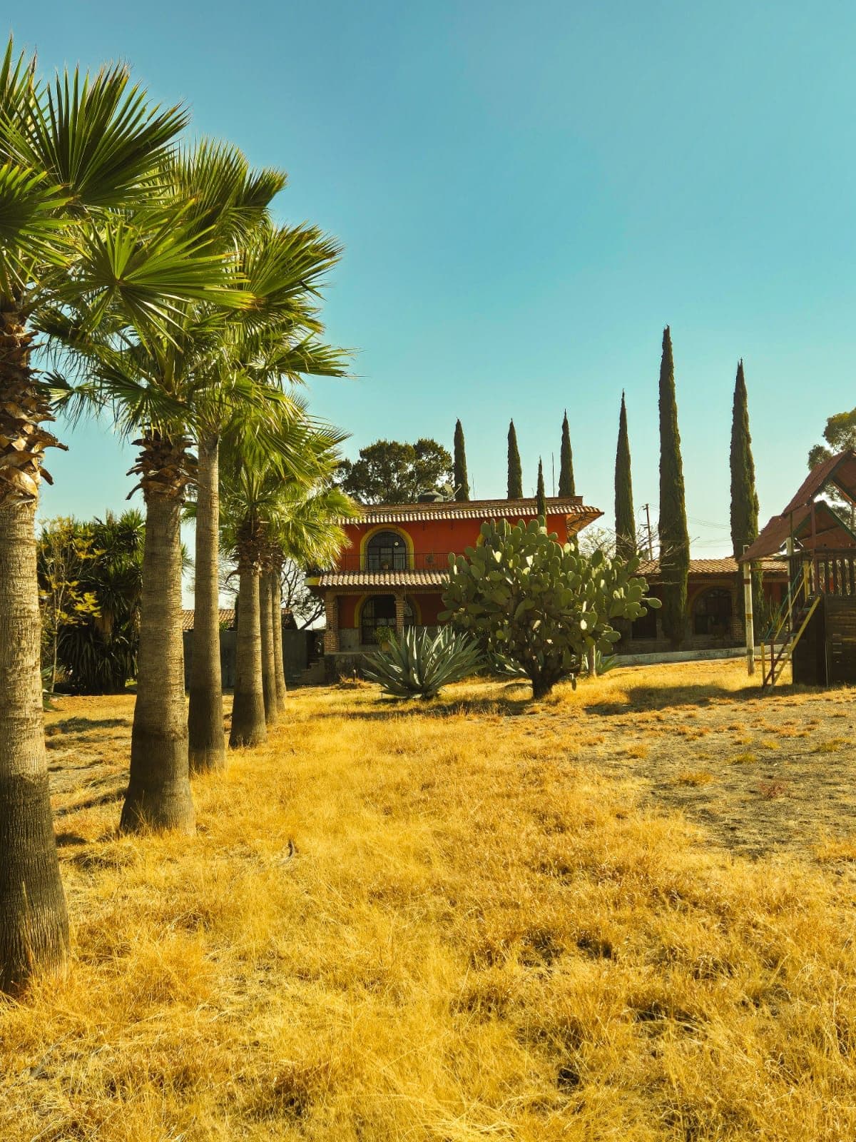 RANCHO " 🌳 ¡OPORTUNIDAD ÚNICA DE INVERSIÓN! RANCHO EN VENTA – 13,000 m²"