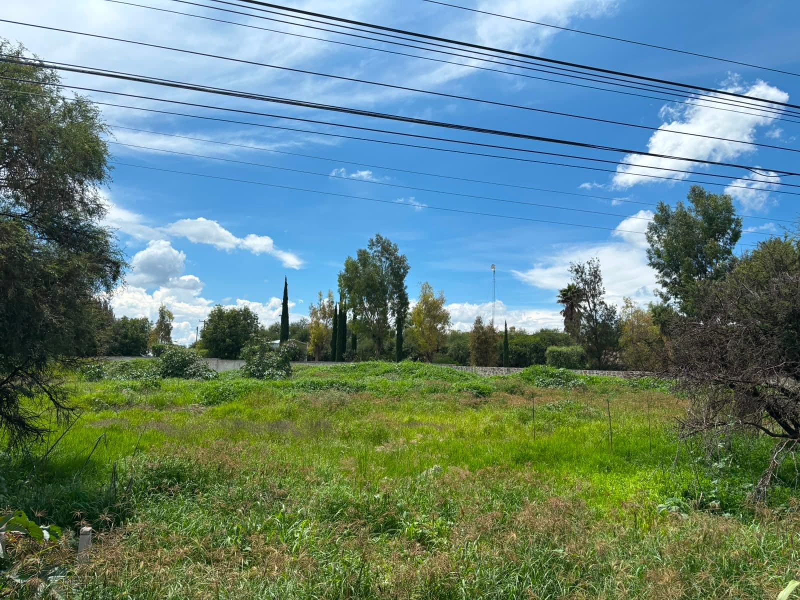 TERRENO EN VENTA en Esequiel Montes a pie de carretera.