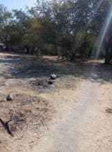 3 terrenos en venta en Mazatepec, Morelos
